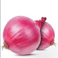 Onion