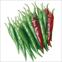 Chilli