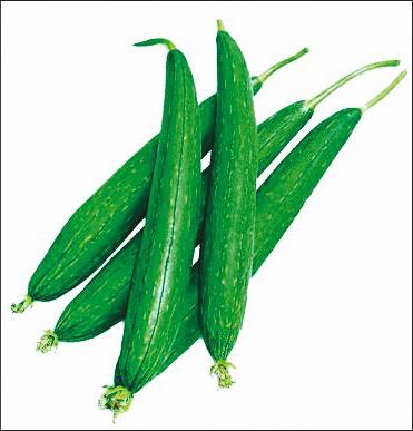 Sponge Gourd