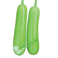 Sponge Gourd
