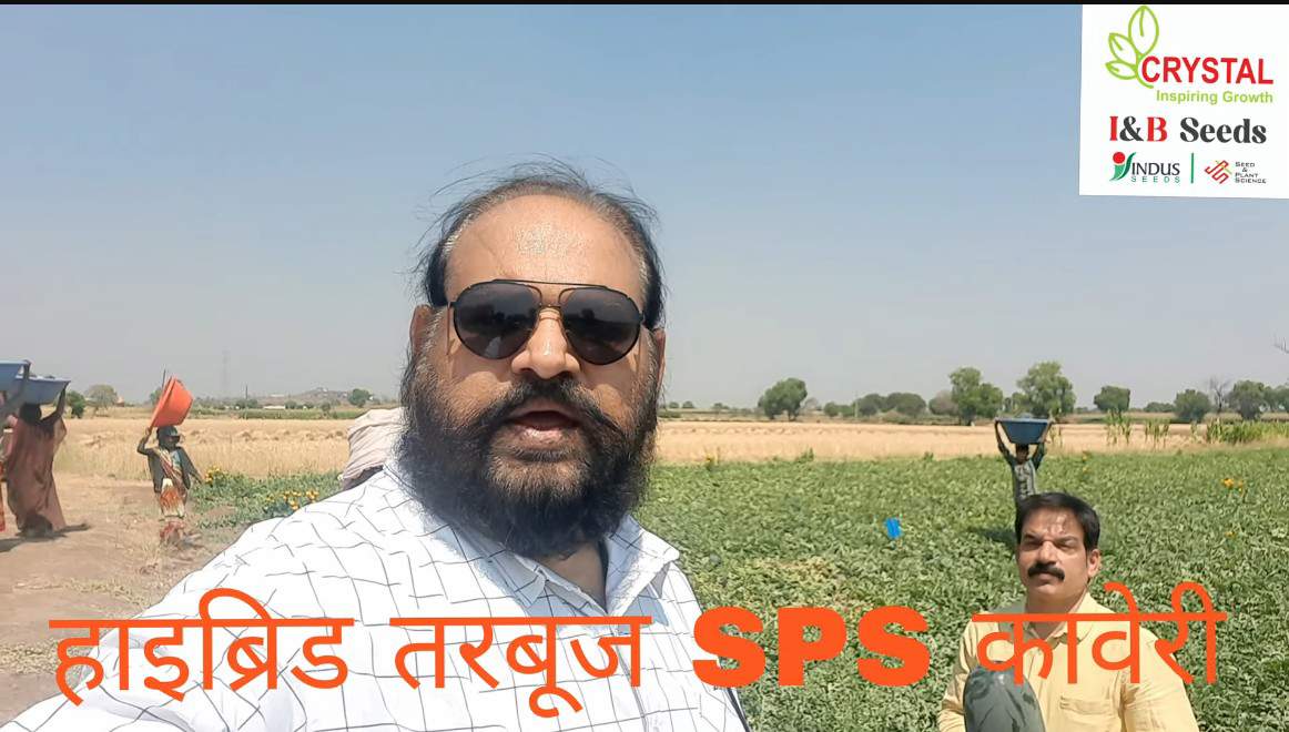 Water Melon SPS Brand Kaveri