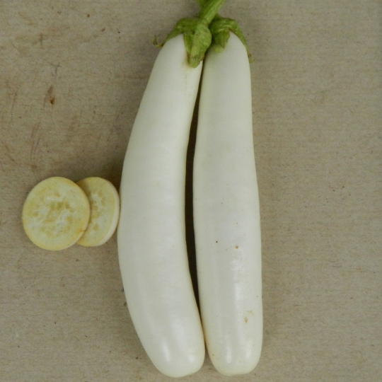 Brinjal