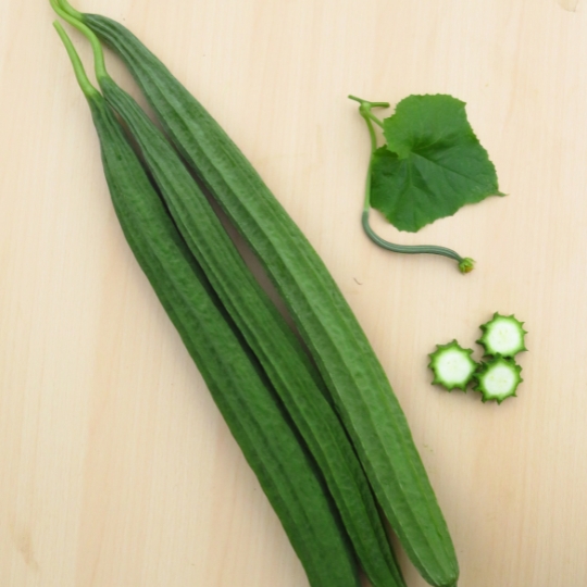 Ridge Gourd